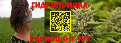 наркотики Дубна