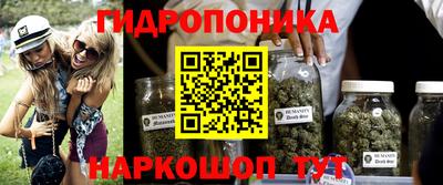 дмт Тула